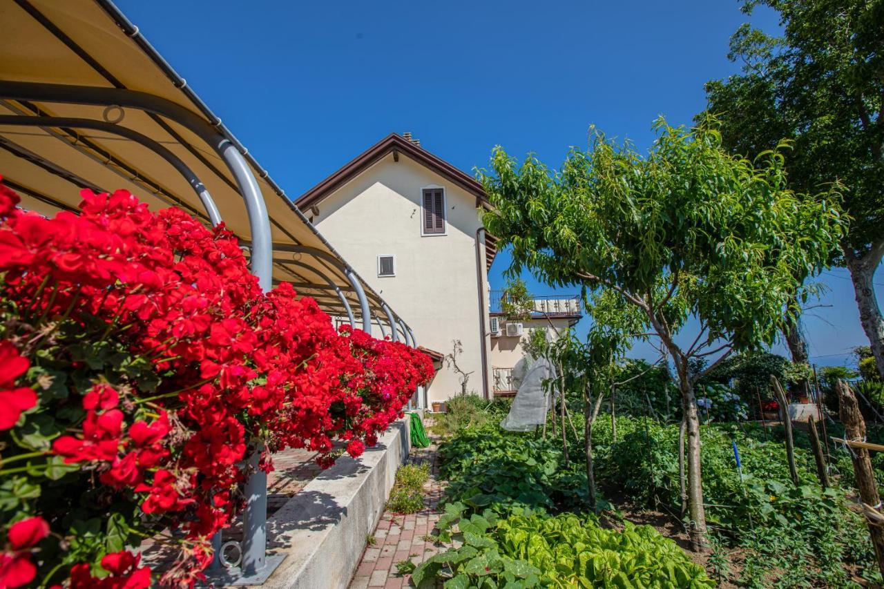 Nido Degli Dei Villa อาเจโรลา ภายนอก รูปภาพ